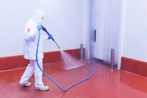Best Warehouse Cleaning  in Allen, TX